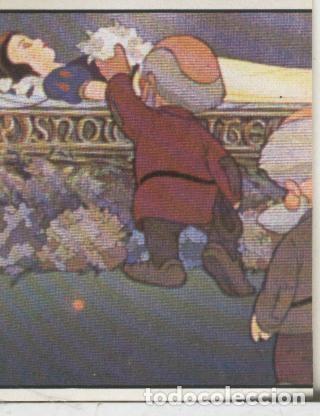 Collectionnisme sportif: Cromos: Blancanieves y los 7 enanitos numero 336 - Varios
