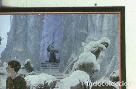 Collezionismo sportivo: Cromos: Narnia numero 057 - Varios