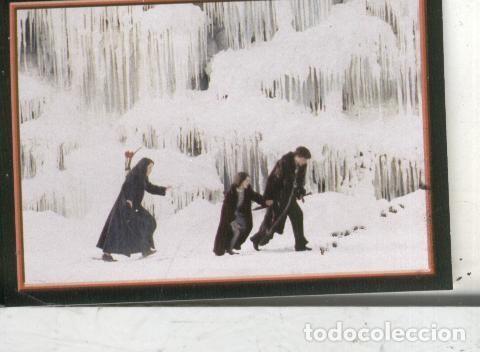 Sports collectibles: Cromos: Narnia numero 076 - Varios