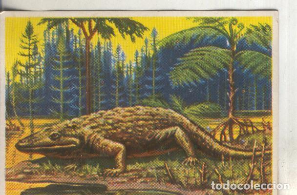 Sports collectibles: Cromos: Historia Natural numero 036 - Varios