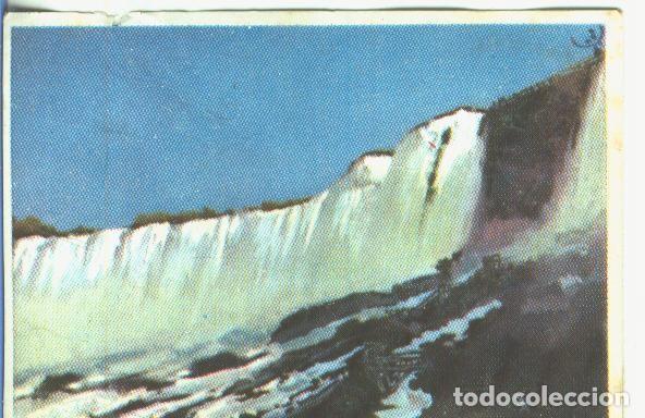 Sammelleidenschaft Sport: Cromos: Historia Natural numero 046 - Varios