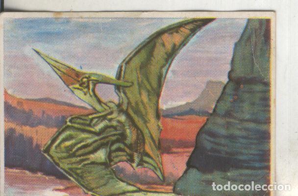 Sammelleidenschaft Sport: Cromos: Historia Natural numero 034 - Varios