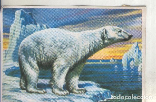 Coleccionismo deportivo: Cromos: Historia Natural numero 184 - Varios