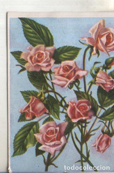 Colecionismo desportivo: Cromos: Historia Natural numero 473 - Varios