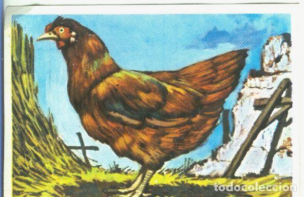 Sammelleidenschaft Sport: Cromos: Historia Natural numero 345 - Varios