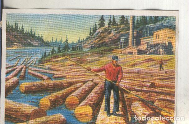 Collectionnisme sportif: Cromos: Historia Natural numero 414 - Varios