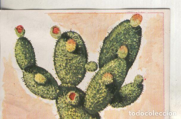 Coleccionismo deportivo: Cromos: Historia Natural numero 444 - Varios