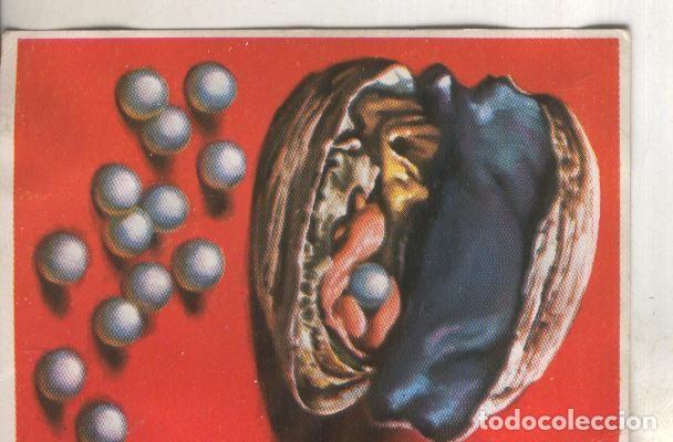 Coleccionismo deportivo: Cromos: Historia Natural numero 079 - Varios