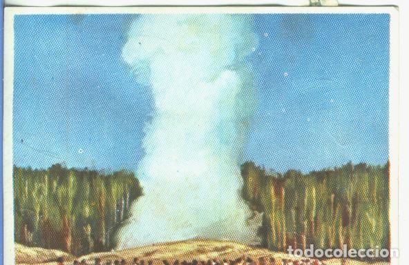 Collezionismo sportivo: Cromos: Historia Natural numero 045 - Varios