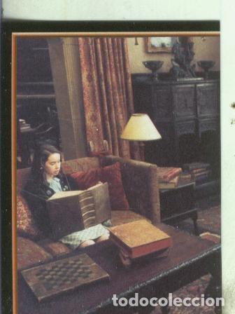 Collectionnisme sportif: Cromos: Narnia numero 016 - Varios