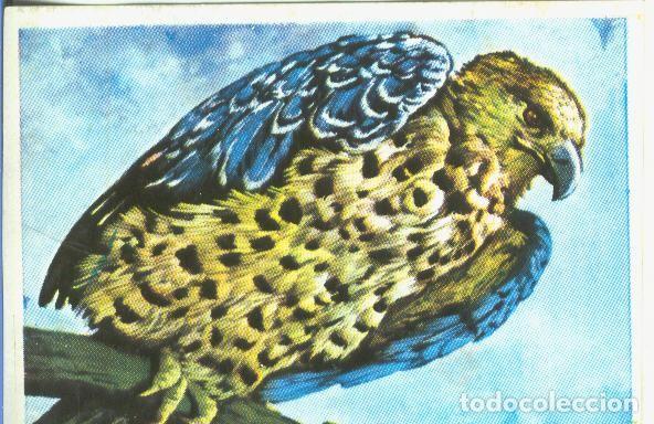 Sports collectibles: Cromos: Historia Natural numero 153 - Varios