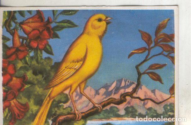 Coleccionismo deportivo: Cromos: Historia Natural numero 201 - Varios