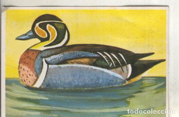 Sammelleidenschaft Sport: Cromos: Historia Natural numero 210 - Varios