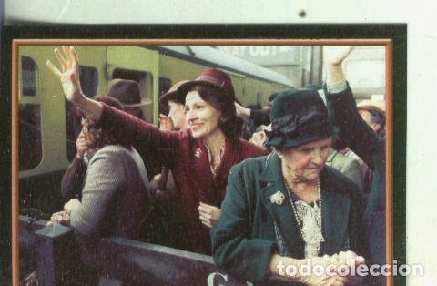 Colecionismo desportivo: Cromos: Narnia numero 009 - Varios