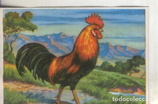 Coleccionismo deportivo: Cromos: Historia Natural numero 263 - Varios