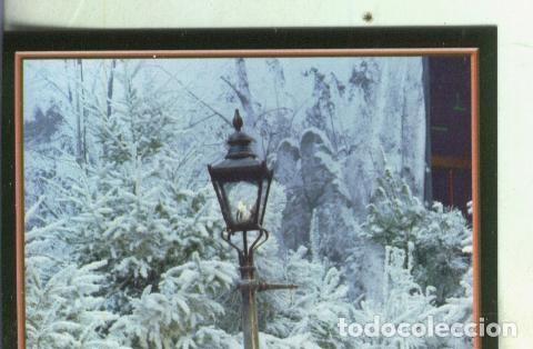 Collezionismo sportivo: Cromos: Narnia numero 046 - Varios