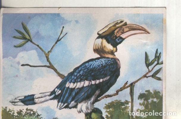 Sports collectibles: Cromos: Historia Natural numero 285 - Varios