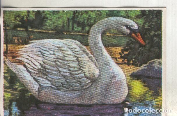 Sammelleidenschaft Sport: Cromos: Historia Natural numero 324 - Varios