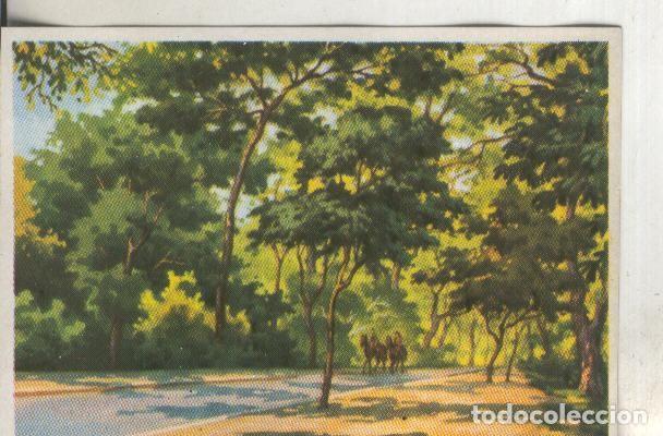 Coleccionismo deportivo: Cromos: Historia Natural numero 410 - Varios