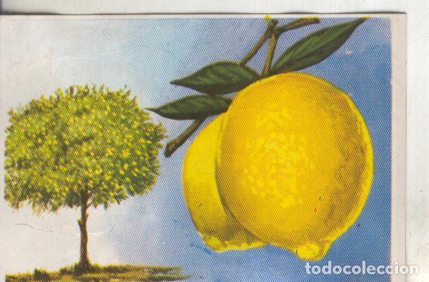 Coleccionismo deportivo: Cromos: Historia Natural numero 416 - Varios