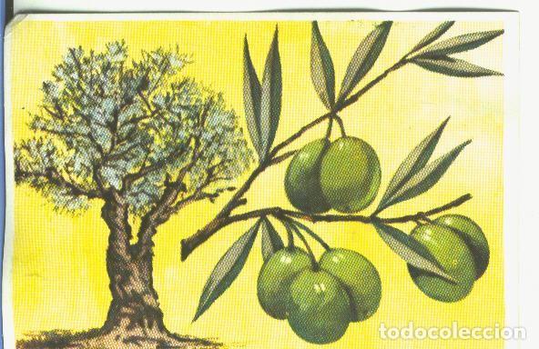 Coleccionismo deportivo: Cromos: Historia Natural numero 427 - Varios