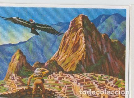 Coleccionismo deportivo: Cromos: Sabias que....? numero 28 - Varios