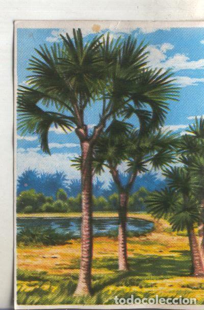 Collectionnisme sportif: Cromos: Historia Natural numero 452 - Varios