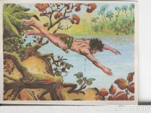Collectionnisme sportif: Cromos: Aventuras de Jorge, el Peque&ntilde;o Tarzan, autor Gigarpe numero 028 - Varios