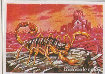 Collectionnisme sportif: Cromos: Sabias que....? numero 67 - Varios