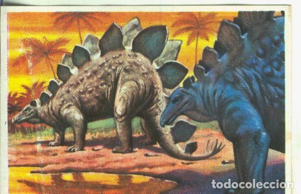 Collectionnisme sportif: Cromos: Historia Natural numero Estegosauros - Varios