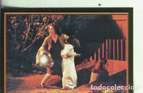 Coleccionismo deportivo: Cromos: Narnia numero 004 - Varios