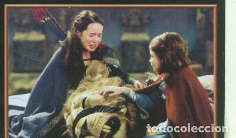 Collezionismo sportivo: Cromos: Narnia numero 117 - Varios