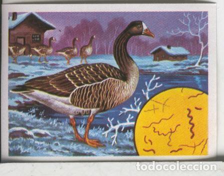 Sammelleidenschaft Sport: Cromos: El Mas y el Menos numero 100: Aves Sufridas - Varios