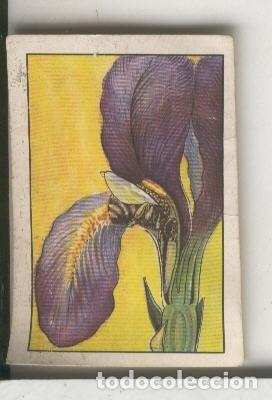 Sammelleidenschaft Sport: Cromos: Las Maravillas del Universo volumen III serie 56 numero 4 B - Varios