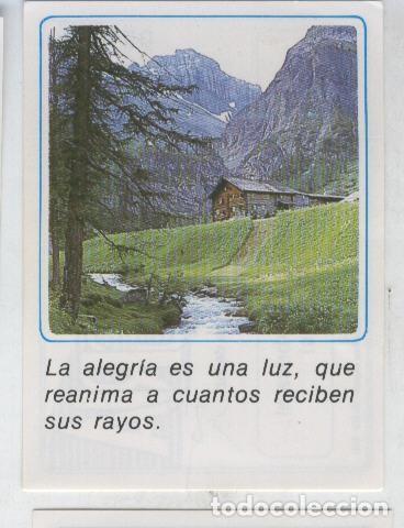 Coleccionismo deportivo: Cromos: Mensajes de Alegria numerado 25 - Varios