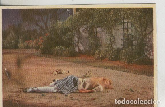 Colecionismo desportivo: Cromos: Pollyanna numero 181 - Varios