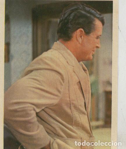 Collezionismo sportivo: Cromos: Pollyanna numero 101 - Varios