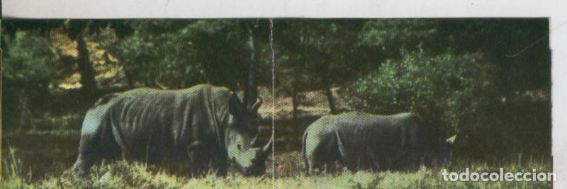 Colecionismo desportivo: Cromos: La Naturaleza y sus maravillas numero 173/174 - Varios