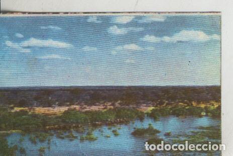 Collectionnisme sportif: Cromos: La Naturaleza y sus maravillas numero 186 - Varios