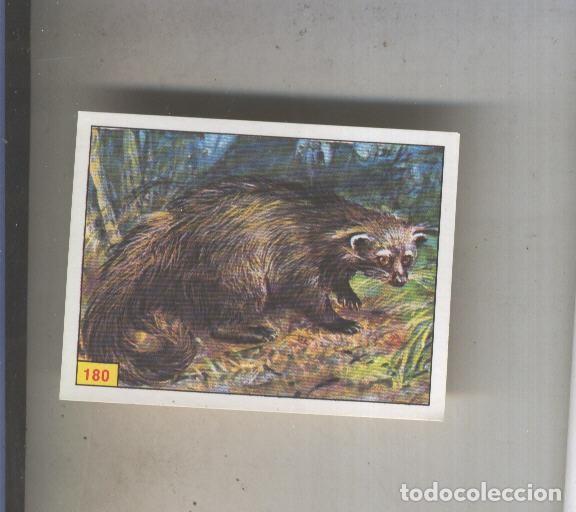 Coleccionismo deportivo: Cromo Mamiferos de Panini numero 180 - Varios