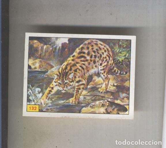 Collezionismo sportivo: Cromo Mamiferos de Panini numero 132 - Varios