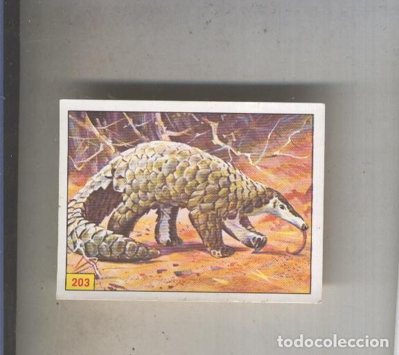 Coleccionismo deportivo: Cromo Mamiferos de Panini numero 203 - Varios