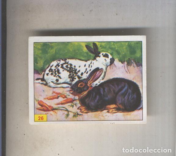 Sammelleidenschaft Sport: Cromo Mamiferos de Panini numero 026 - Varios