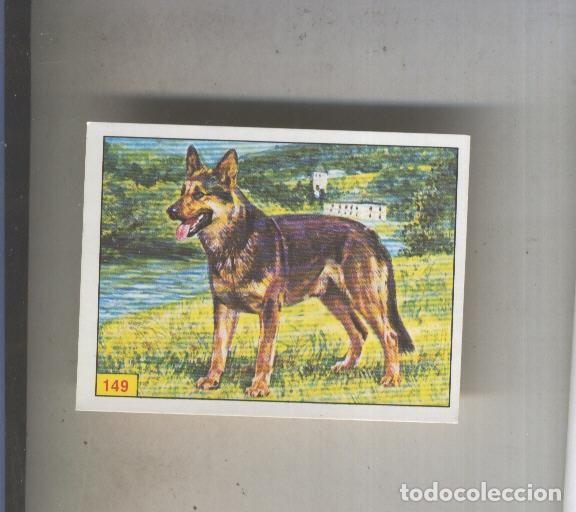 Sports collectibles: Cromo Mamiferos de Panini numero 149 - Varios