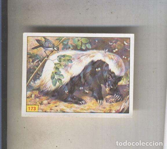 Sammelleidenschaft Sport: Cromo Mamiferos de Panini numero 173 - Varios