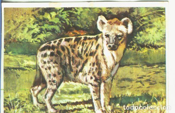 Sammelleidenschaft Sport: Cromos: Historia Natural numero 160 - Varios