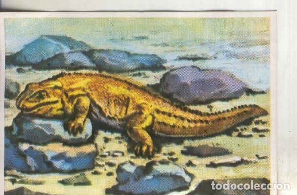 Sports collectibles: Cromos: Historia Natural numero 231 - Varios