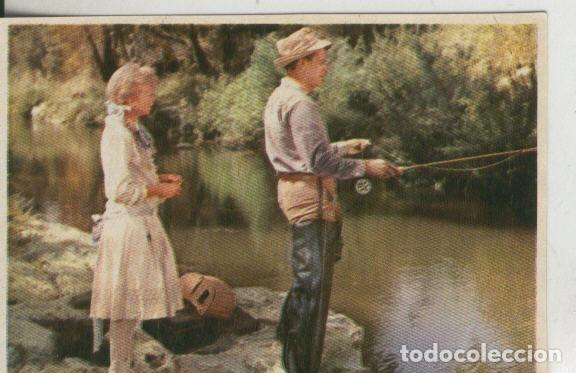 Coleccionismo deportivo: Cromos: Pollyanna numero 087 - Varios