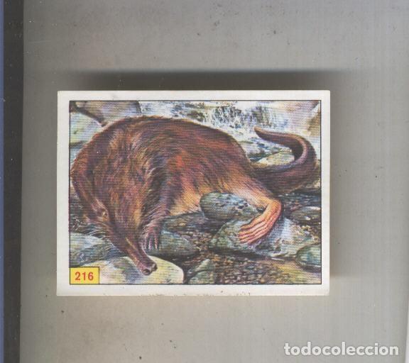 Coleccionismo deportivo: Cromo Mamiferos de Panini numero 216 - Varios