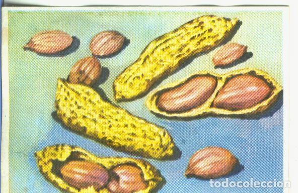 Sports collectibles: Cromos: Historia Natural numero 467 - Varios